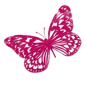 lily_butterfly_pink.jpg